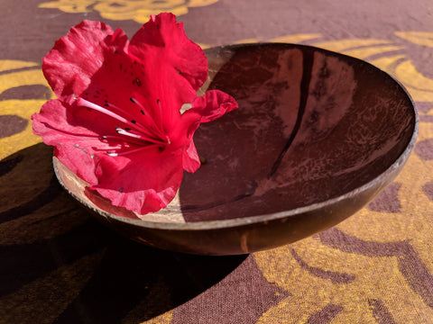 Tongan IPU Kava Cup - The Kava Roots kava products - Kava The Kava Roots - thekavaroots.com The Kava Roots - thekavaroots